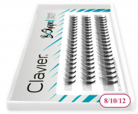 Clavier - BeShaped - Artificial eyelashes in type B clusters - MIX - 8/10/12 - MIX - 8/10/12