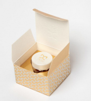 DESSI - Base - glue for shadows and pigments - 6 g