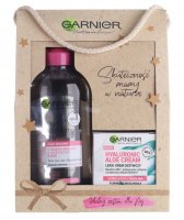 GARNIER - Zestaw prezentowy kosmetyków do pielęgnacji twarzy - Krem Hyaluronic Aloe 50 ml + Płyn micelarny 3w1 400 ml