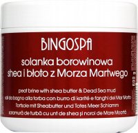 BINGOSPA - Peat Brine - Solanka borowinowa z masłem Shea i błotem z Morza Martwego - 600 g