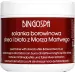 BINGOSPA - Peat Brine with Shea Butter and Dead Sea Mud - 600 g