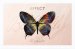 AFFECT - Butterfly Makeup Palette - Paleta do makijażu by Dorota Gardias