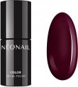 NeoNail - UV GEL POLISH COLOR - FALL IN COLORS - Hybrid varnish - 7.2 ml - 8766-7 MYSTERIOUS TALE - 8766-7 MYSTERIOUS TALE