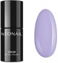 NeoNail - UV GEL POLISH COLOR - FROSTED FAIRY TALE - Hybrid varnish - 7.2 ml - 8892-7 ICICLE TALE  - 8892-7 ICICLE TALE 