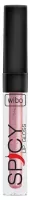 WIBO - Spicy Lip Gloss - Powiększający błyszczyk do ust - 3 ml
