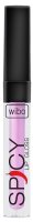 WIBO - Spicy Lip Gloss - Powiększający błyszczyk do ust - 3 ml - 19