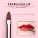 JESSUP - PRO Lip Brush Set - Set of 5 lip make-up brushes - T325 Black / Silver