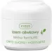 ZIAJA - Light olive cream - Dry and normal skin - 50 ml