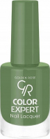 Golden Rose - COLOR EXPERT NAIL LACQUER - O-GCX - 407 - 407