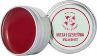 Mydlarnia Cztery Szpaki - Lip Balm - Mint and Cherry