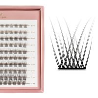 Many Beauty - Many Lashes - Master Box V-Lashes Intense - CC - Large set of eyelash clusters - 120 pcs