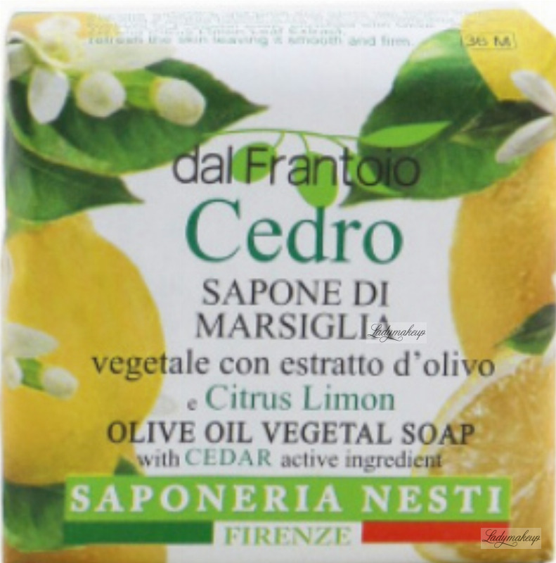 Tra Degustazioni E Assaggi, I Frantoi Aprono Le Loro Porte - Foto 7