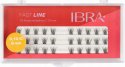 Ibra - FAST LINE - 10 Flares Eyelashes - Tufts of false eyelashes - 8 mm - 8 mm