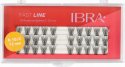 Ibra - FAST LINE - 10 Flares Eyelashes - Tufts of false eyelashes - 12 mm - 12 mm