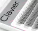 Clavier - Vshape Light - Tufts of eyelashes - Swallows