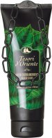 Tesori d`Oriente - Aromatic Shower Cream - Kremowy żel pod prysznic - Kaszmirowe drzewo sandałowe i wetiwer - KASHMIR SANDALWOOD & VETIVER - 250 ml