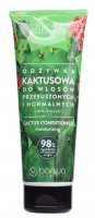BARWA - BARWA NATURALNA - Cactus Hair Conditioner - Kaktusowa, nawilżająca odżywka do włosów normalnych i przesuszonych - 200 ml