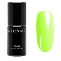 NeoNail - UV GEL POLISH COLOR - You're a GODDESS - Hybrid nail polish - 7.2 ml - 9948-7 - DON'T HIDE - 9948-7 - DON'T HIDE
