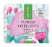 Lirene - POWER OF PLANTS - OPUNTIA - SOOTHING CREAM - Smoothing face cream - Day/Night - OPUNTIA - 50 ml