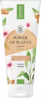 Lirene - POWER OF PLANTS - ALMOND - NOURISHING CREAMY SHOWER GEL - Nourishing, creamy shower gel - ALMOND - 200 ml