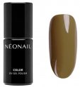 NeoNail - UV GEL POLISH - LOVE YOUR NATURE - Hybrid nail polish - 7.2 ml - 10112-7 CHOOSE PURE JOY - 10112-7 CHOOSE PURE JOY
