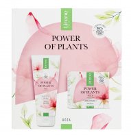 Lirene - Power of Plants Rose - Zestaw prezentowy - Nawilżający balsam do ciała 200 ml + Krem liftingujący 50 ml