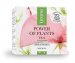Lirene - Power of Plants Rose - Gift set - Moisturizing body balm 200 ml + Lifting cream 50 ml