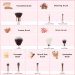 JESSUP - Individual Brushes Set - Set of 10 face and eye makeup brushes - T156 Black/Rose Gold