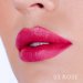Pierre René - LIP KIT - Lip Contour Vinyl Lips - Zestaw do makijażu ust - Pomadka Vinyl Lips + Konturówka