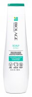 BIOLAGE - Scalp Sync - Anti-Dandruff Shampoo - Anti-dandruff shampoo - 250 ml