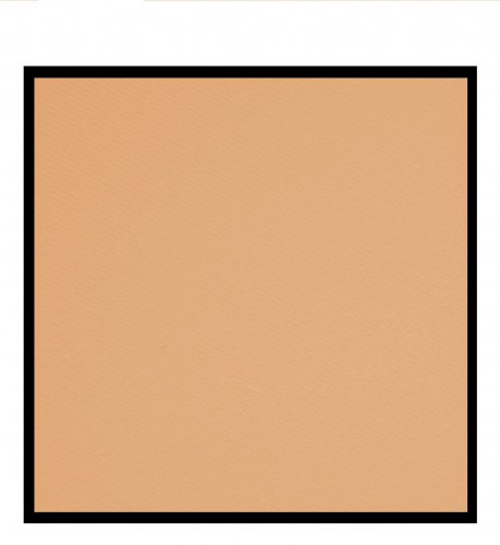 VIPERA -- Magnetic Play Zone T-Zone Powder- Matting Powder - MPZ PUZZLE - PT02 - CREME-TAUPE
