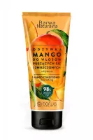 BARWA - Barwa Naturalna - Mango Conditioner - Naturalna odżywka do włosów puszących się i zniszczonych - Mango - 200 ml 