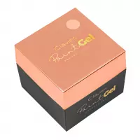 Clavier - Paint Gel UV/LED - Gel for decoration - 5 g