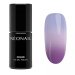 NeoNail - Born To Win - UV GEL POLISH COLOR - Lakier hybrydowy - 7,2 ml - 10714-7 THERMO COLOR - YOUR COMEBACK 