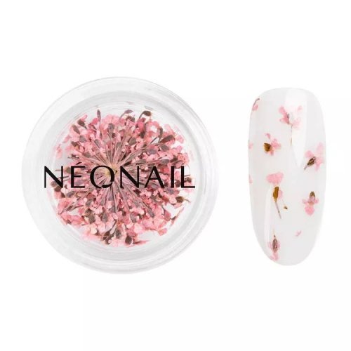 NeoNail - Dried Flowers - Kwiatowa ozdoba do paznokci - 5 sztuk  - 01 PINK