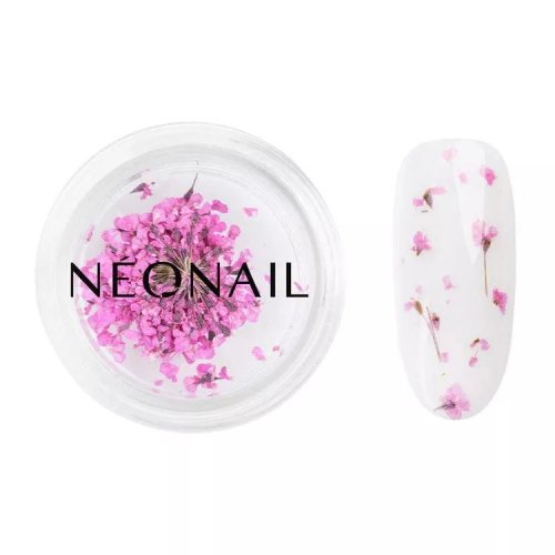 NeoNail - Dried Flowers - Kwiatowa ozdoba do paznokci - 5 sztuk  - 02 PURPLE