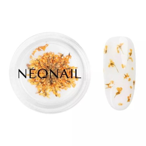 NeoNail - Dried Flowers - Kwiatowa ozdoba do paznokci - 5 sztuk  - 03 ORANGE