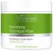 Bielenda Professional - ACNE FREE PROEXPERT - Normalizing Face Algae Mask - 160 g