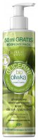 Eveline Cosmetics - GLICERINI - Glycerine Concentrated Hand and Nail Cream - Glicerynowy krem do rąk i paznokci - Bio Olive - 245 ml