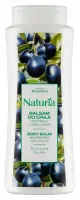 Joanna - Naturia - Nourishing Body Balm with Olive Oil - Dry Skin - 500 g