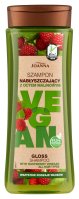 Joanna - Vegan - Gloss Shampoo - Glossing Shampoo with Raspberry Vinegar - 300 ml