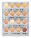KRYOLAN - Dermacolor - CAMOUFLAGE MINI - PALETTE - 16 foundations/camouflages - ART. 71006 - FAIR - FAIR