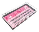 Clavier - Green Eyelash Stars Colors - Jedwabne kępki rzęs - 60 sztuk - 6 mm - 6 mm