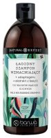 Barwa Cosmetics - Natural Expert - Mild Nourishing Shampoo - Łagodny szampon do włosów wzmacniający - 480 ml