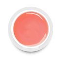 Clavier - Builder Gel UV/LED - 10 g - Peach  - Peach 