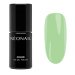 NeoNail - COLOR UV GEL POLISH - Blooming Dreams - Hybrid Nail Polish - 7.2 ml - 11529-7 Eternal Fantasies 