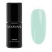 NeoNail - COLOR UV GEL POLISH - Blooming Dreams - Hybrid Nail Polish - 7.2 ml - 11530-7 Cosmic Dreamscape 