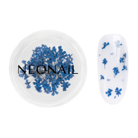 NeoNail - Dried Flowers - Nail Decoration - 5 pieces  - 04 NAVY  - 04 NAVY 