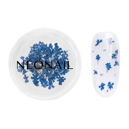 NeoNail - Dried Flowers - Kwiatowa ozdoba do paznokci - 5 sztuk  - 04 NAVY 