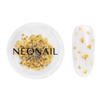 NeoNail - Dried Flowers - Nail Decoration - 5 pieces  - 07 YELLOW  - 07 YELLOW 